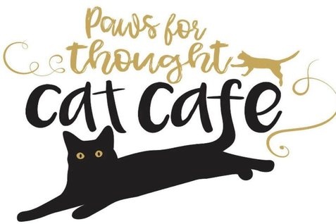 Cat Cafe Romsey