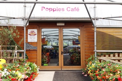 Poppies cafe