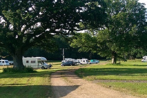 Three Trees Campsite Ampfield